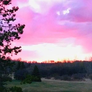 Meet your Posher, Lois